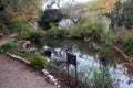 Jerusalem, Israel - December 2, 2013: Vegetation of ponds and rivers at National Botanic Garden of Israel, located on the Mount Royalty Free Stock Photo