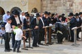 Jewish hasidic pray a the Western Wall,