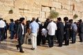 Ewish hasidic pray a the Western Wall,