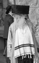 Jewish hasidic pray a the Western Wall,