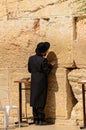 Jerusalem, Israel- July 11, 2014: Orthodox Jewish man praying at Western Wall in Jerusalem, Israel