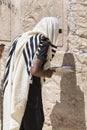 Jewish people praying against the Western Wall in Jerusalem Royalty Free Stock Photo