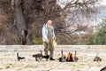 An elderly Muslim man feeds cats in a square near the Dome of the Rock on the Temple Mount in the Old Town of Jerusalem in Israel