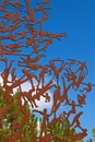 Jerusalem, Israel - March 2018: Visiting image of people from Partisans Panorama Memorial Tree in Jerusalem, Israel