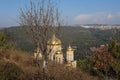Jerusalem, Israel - May 26, 2025: Gorny Monastery Golden Domes through Branches Royalty Free Stock Photo