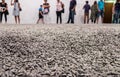 Ai Weiwei`s seminal artwork `Sunflower Seeds`, Israel Museu