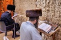 Jerusalem Israel. Orthodox praying at the wailing wall
