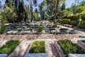 Rows of graves of soldiers who fell in the Israeli wars, in the military cemetery on Mount Herzl