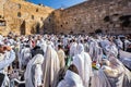 Morning autumn Sukkot Royalty Free Stock Photo