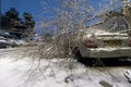 A tree that collapsed on a vehicle, due to the extreme weather and snow in the Givat Mordechai neighborhood, Jerusalem