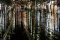 Jerusalem light rail on a wet, stormy night in Israel