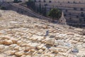 Jerusalem Mount of Olives Cemetery Royalty Free Stock Photo