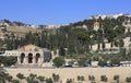 Jerusalem, Mount of Olives churches