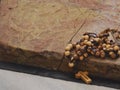 Jerusalem Olivewood Rosary on the Stone of Anointing, Church of