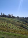 Jeruzalem vineyard in Slovenia europe Royalty Free Stock Photo
