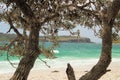 Jervis Bay From Murrays Beach Looking Through Trees