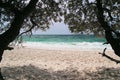 Jervis Bay From Murrays Beach Looking Through Trees