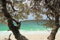 Jervis Bay From Murrays Beach Looking Through Trees