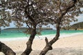 Jervis Bay From Murrays Beach Looking Through Trees