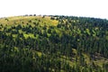 Jeseniky mountains (czech republic)