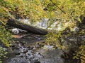 Waterfall in Jesmond Dene, Newcastle upon Tyne, Uk with autumn colours Royalty Free Stock Photo
