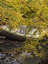 Waterfall in Jesmond Dene, Newcastle upon Tyne, Uk with autumn colours Royalty Free Stock Photo