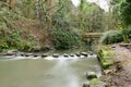 Jesmond Dene stepping stones Royalty Free Stock Photo