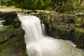 Jesmond Dene waterfall Royalty Free Stock Photo