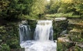 Jesmond Dene Waterfall in Autumn,  Newcastle Upon Tyne city centre Royalty Free Stock Photo