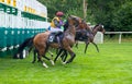 Jessica Cooley Apprentice horse racing Jockey out of the stalls Royalty Free Stock Photo