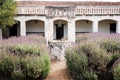 Jesuit Mission Lavender Garden