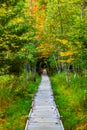 Jesup Trail with autumn colors in Acadia National Park Royalty Free Stock Photo