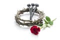 Jesus Christ crown of thorns, nails and a rose.