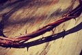 The Jesus Christ crown of thorns, with a retro filter effect Royalty Free Stock Photo