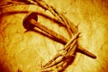 The Jesus Christ crown of thorns with a retro filter effect Royalty Free Stock Photo