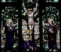 Jesus Christ crucified on the tree of life (stained glass)