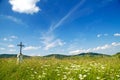 Jesus Christ on old wayside cross in meadow.