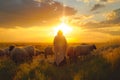 Jesus Christ standing on a hill in a meadow, overlooking a flock of sheep Royalty Free Stock Photo