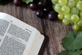 Jesus Christ is the true vine verse in open holy bible with fresh grapes and branches on wooden table