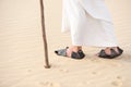 Jesus Christ walking in desert, closeup view