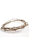 Jesus' crown of thorn