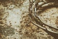 Jesus Crown of Thorns on the Grunge Background