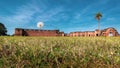 Jesus de Taverangue, Paraguay - A Lonely Dandelion Seadhead on the Field by the Jesuit Mission Ruins at Jesus de Taverangue UNESC