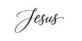 Jesus - Handwritten text in calligraphic style on a white background. Vector illustration.