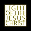 Jesus Light of Life gold white in black frame