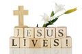 Jesus Lives! Royalty Free Stock Photo