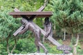 Jesus takes up his Cross, Stations of the Cross at Sanctuary of Our Lady of Pregnancy in Gdansk Matemblewo