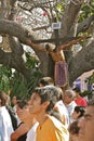 Jesus in the Tree. Good Friday Procession, Oaxaca Royalty Free Stock Photo