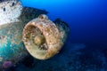 Jet engine of an underwater aircraft wreck Royalty Free Stock Photo
