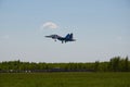 Jet MiG-29 air group aerobatics `Strizhi` comes to landing